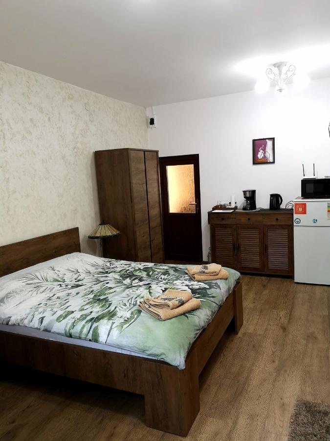 Clemence Guesthouse Braşov Buitenkant foto